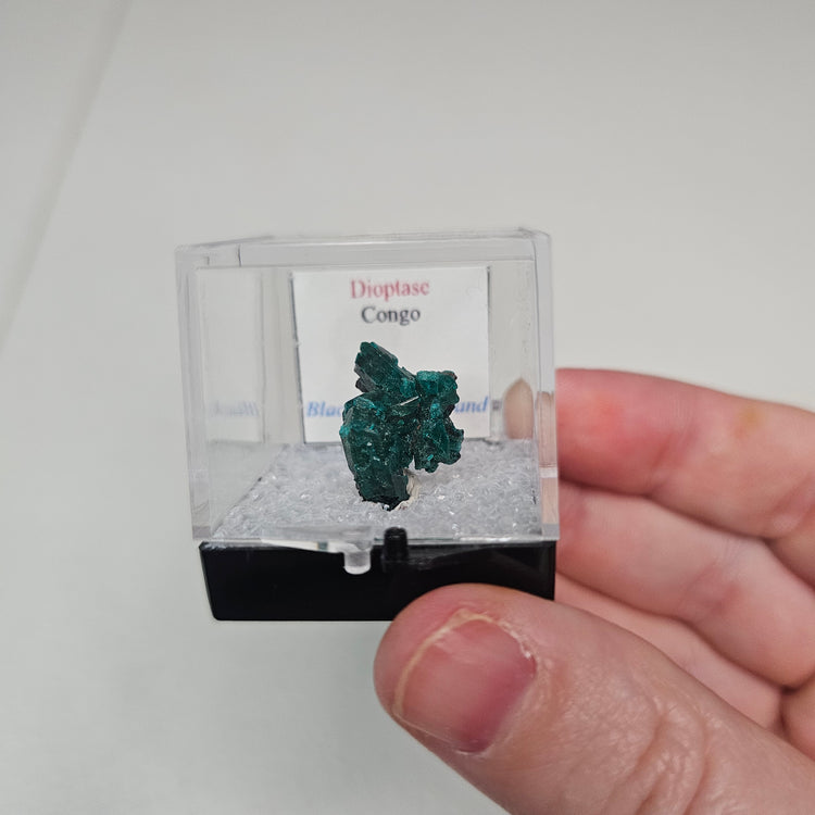 Dioptase Crystals Minerals Thumbnails Natural Specimen Collectible