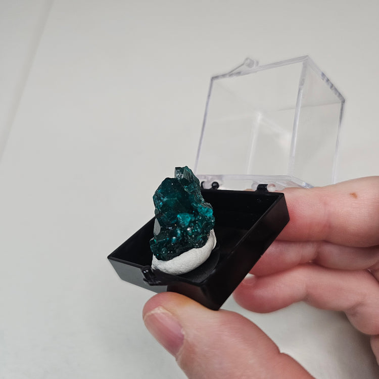 Dioptase Crystals Minerals Thumbnails Natural Specimen Collectible