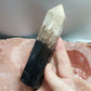 Fossilized Palm Root Tower Generator Indonesia Crystals Minerals Stones Natural Healing Metaphysical Nature Reiki Collectible A
