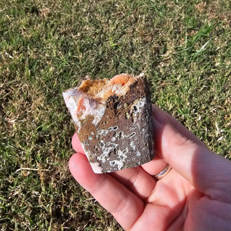 Thomsonite Specimen India Crystals Minerals Collectible Gifts