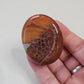 Fire Agate Worry Pocket Stone Crystals Stones BONUS INFO CARD Gifts