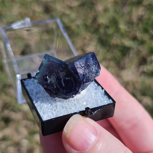 Fluorite Crystals Minerals Thumbnails Natural Specimen Collectible