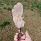 Beautiful Pink Amethyst on Stand BONUS Info Card Crystals Minerals Specimen Nature