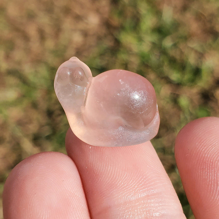 Fluorite Kawaii Snail Carving BONUS Info Card Crystals Minerals Stones Rocks