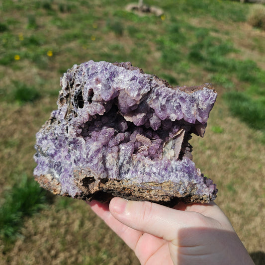 Amethyst Large Juicy Cluster Specimen Chihuahua Mexico Crystals Collectible