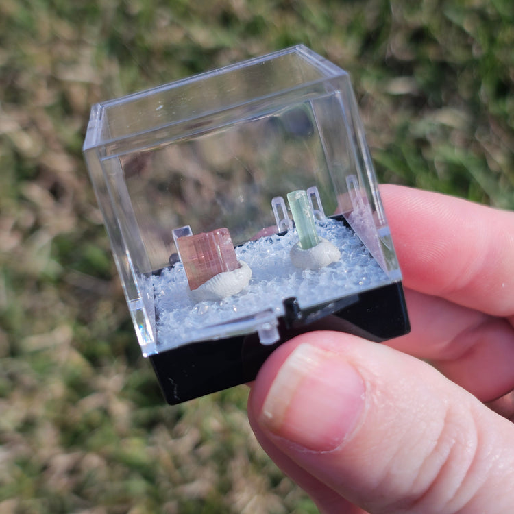 Watermelon Tourmaline Crystals Minerals Thumbnails Natural Specimen Collectible