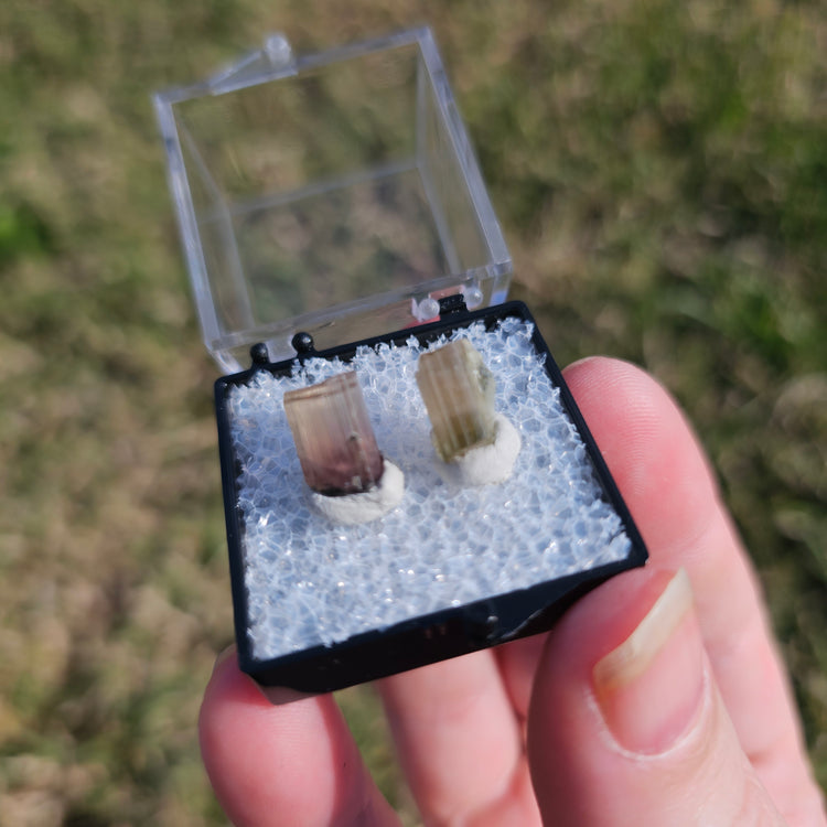 Watermelon Tourmaline Crystals Minerals Thumbnails Natural Specimen Collectible