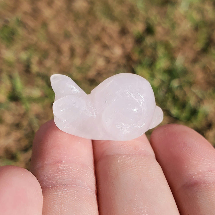 Clear Quartz Happy Snail Mail Carving Crystals Minerals Collectible Gifts