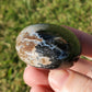 Fossilized Palm Root Palm Stone Indonesia Agate Collectible Quality Gifts D