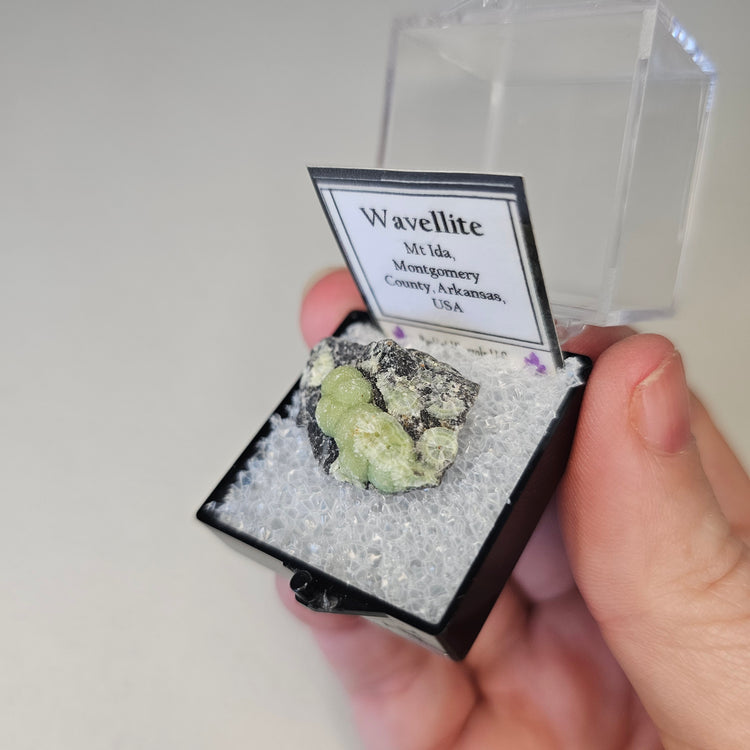 Wavellite Crystals Minerals Thumbnails Natural Specimen Collectible