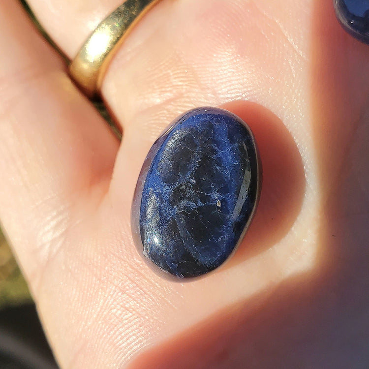 Sodalite Cabochons Bundle (5) Tear Drop Crystals Wire Wrapping BONUS INFO CARD