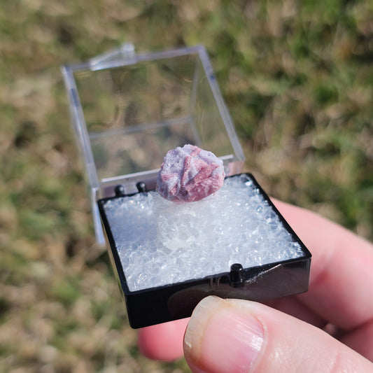 Rubellite & Lepidolite Crystals Minerals Thumbnails Natural Specimen Collectible