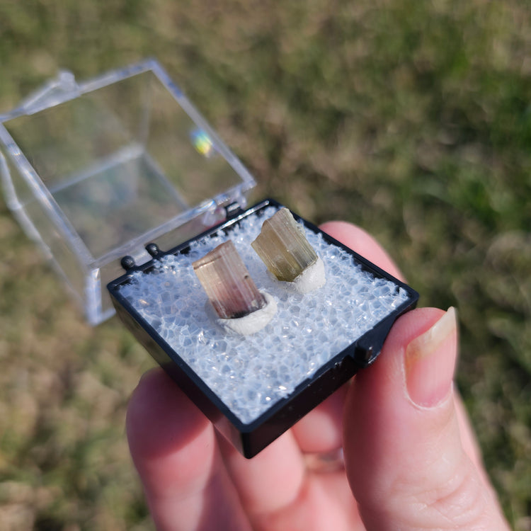 Watermelon Tourmaline Crystals Minerals Thumbnails Natural Specimen Collectible