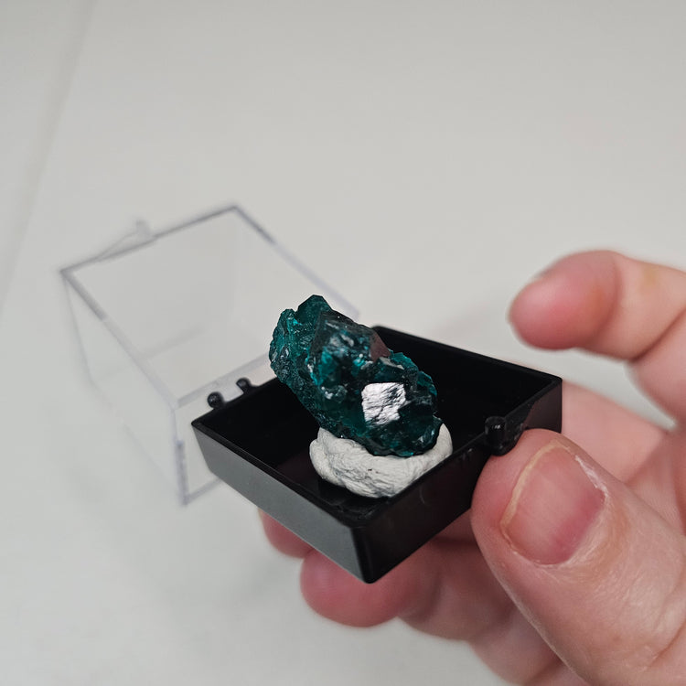 Dioptase Crystals Minerals Thumbnails Natural Specimen Collectible