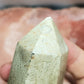 Fossilized Palm Root Generator Tower Indonesia Crystals Minerals Stones Natural F
