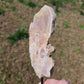 Beautiful Pink Amethyst on Stand BONUS Info Card Crystals Minerals Specimen Nature