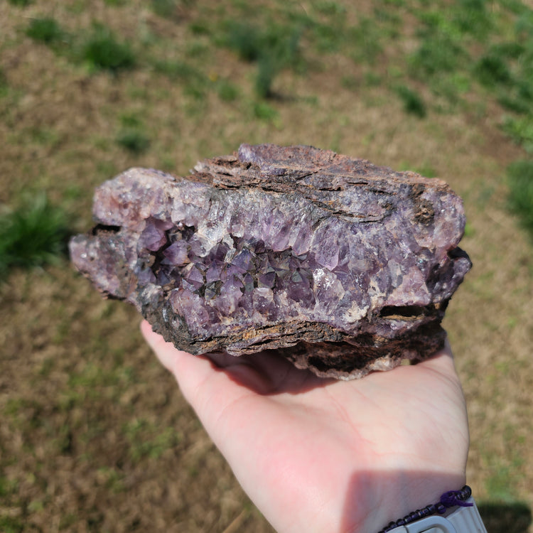 Amethyst Large Juicy Cluster Specimen Chihuahua Mexico Crystals Collectible