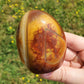 Carnelian Agate Crystals Minerals BONUS Info Card Stones Collectible Carvings Gifts
