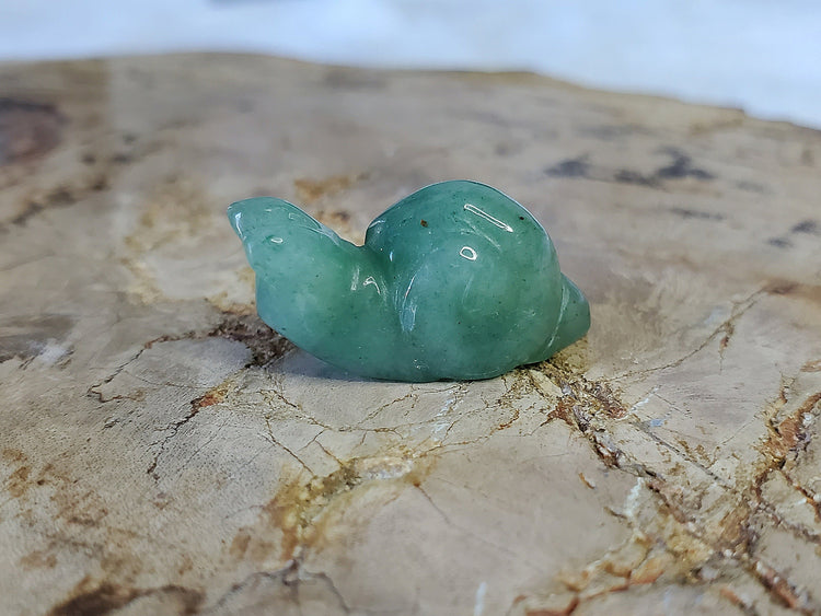 Kawaii Green Aventurine Snail Carving BONUS Info Card Crystals Minerals Stones Rocks Collectible Gifts