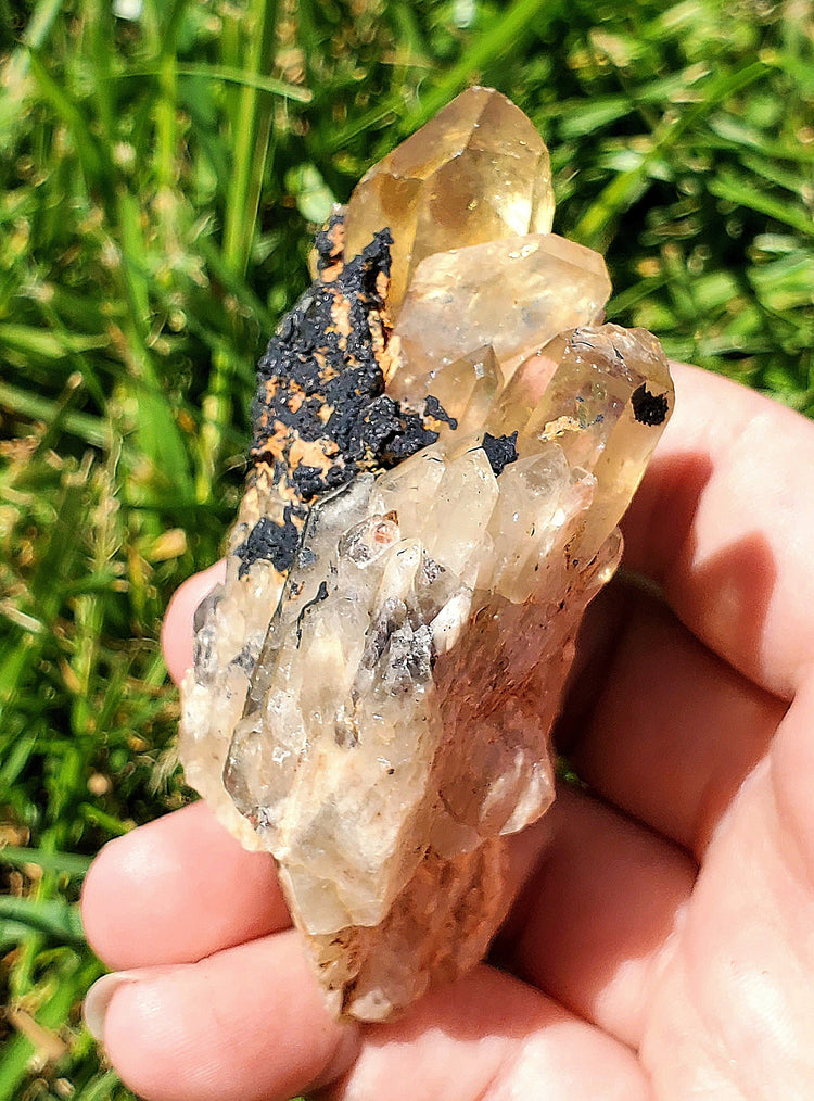 Natural Kundalini Citrine Congo Specimen Crystals Minerals Stones Natural Metaphysical Nature Reiki Collectible D