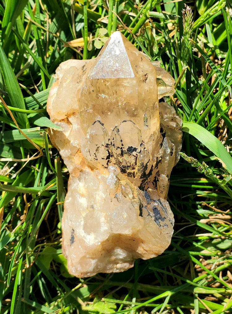 Natural Citrine Congo Specimen Crystals Minerals Stones Natural Metaphysical Nature Reiki Collectible C