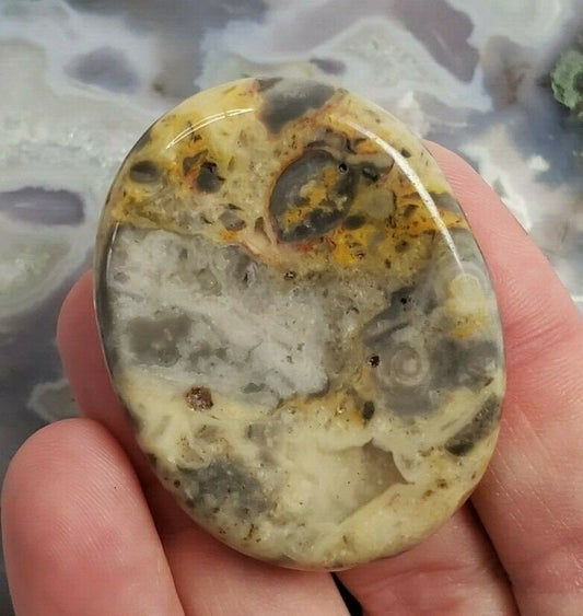 Crazy Lace Agate Beautiful Worry Stone Crystals Mineral Stones Natural BONUS Information Card Metaphysical Gifts
